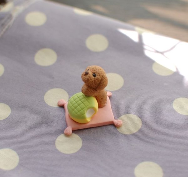 画像4: オカメインコ♪　トイプードル♪ (4)